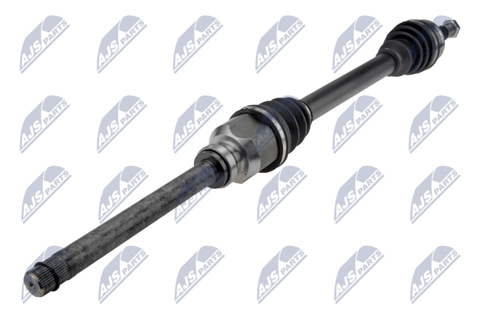 npw-ct-097_1-wm