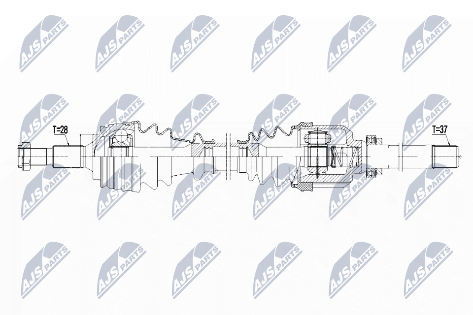 npw-ct-097_9-wm