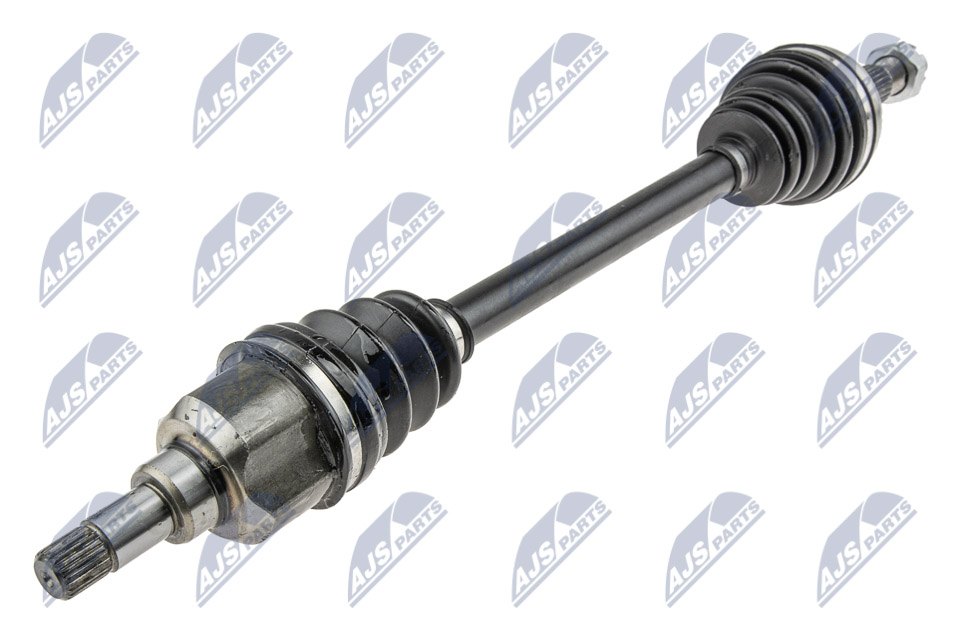 npw-ct-115_1-wm
