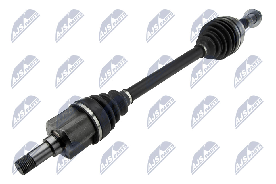 npw-ct-117_1-wm