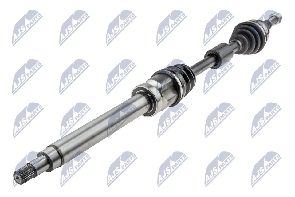 npw-fr-113_1-wm