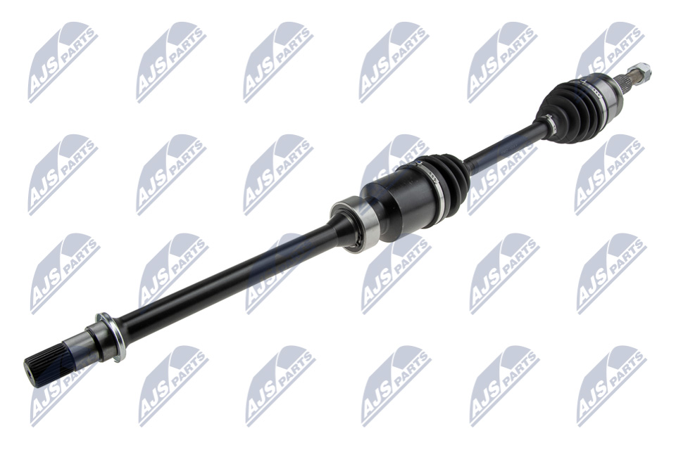 npw-mz-041_1-wm