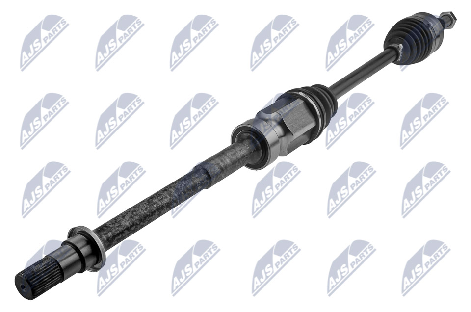 npw-mz-076_1-wm