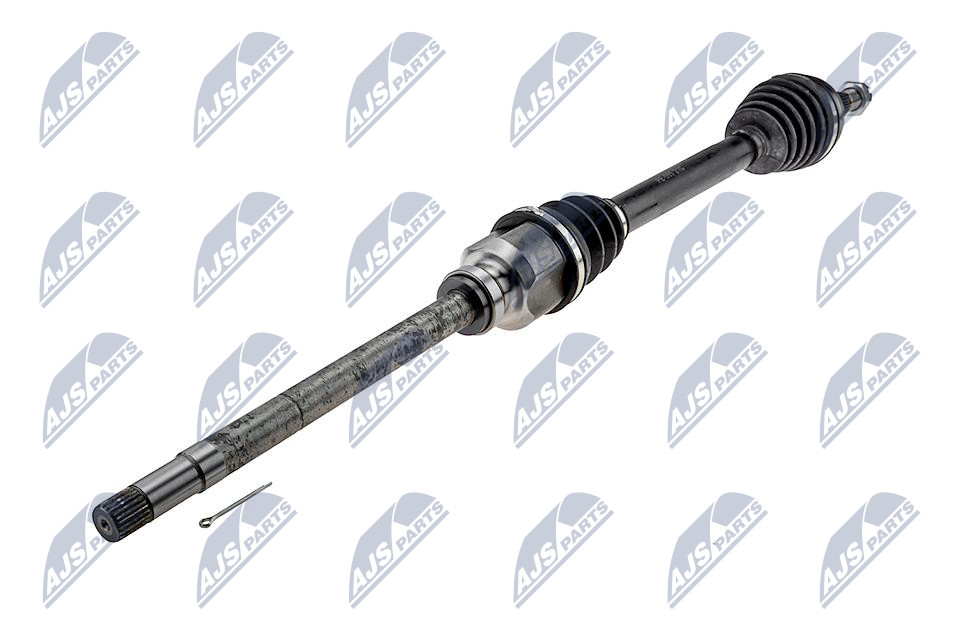 npw-pe-065_1-wm