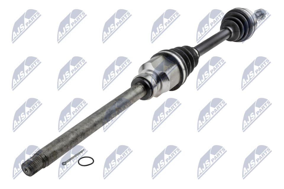 npw-pe-081_1-wm