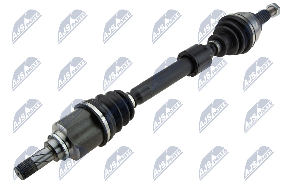 npw-re-197_1-wm