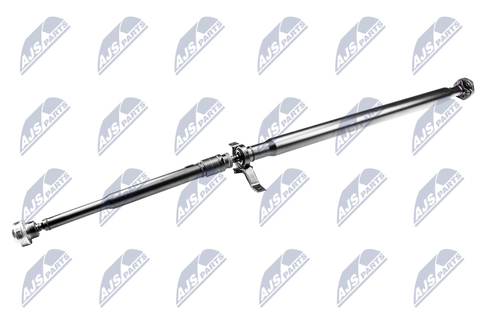 nwn-ch-046_1-wm