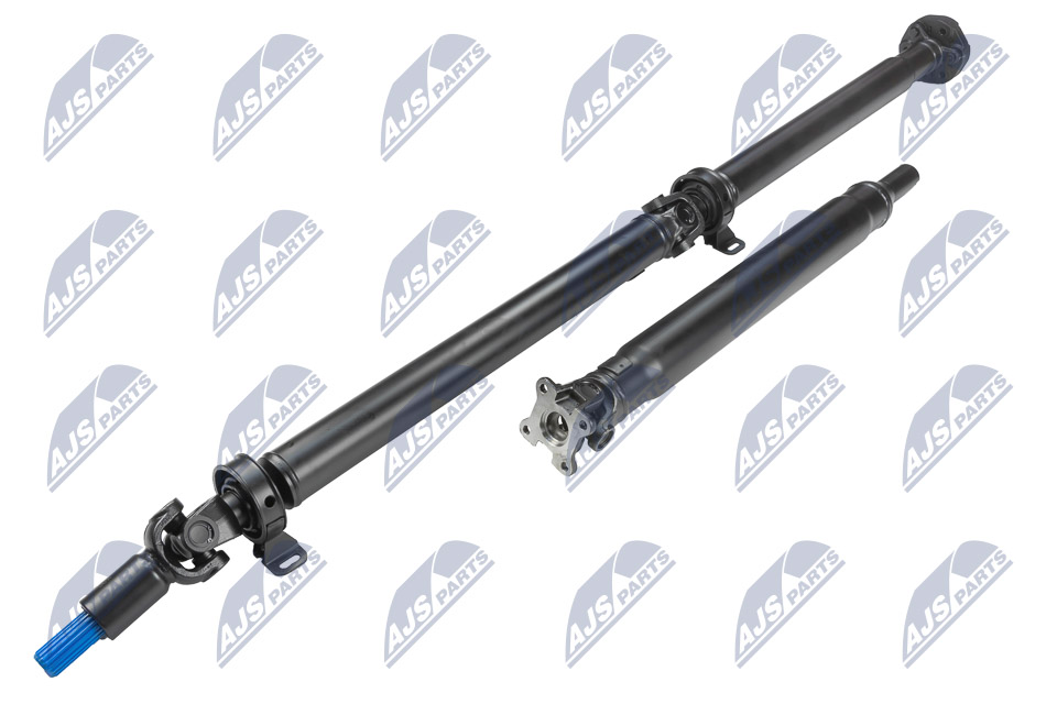nwn-fr-009_1-wm