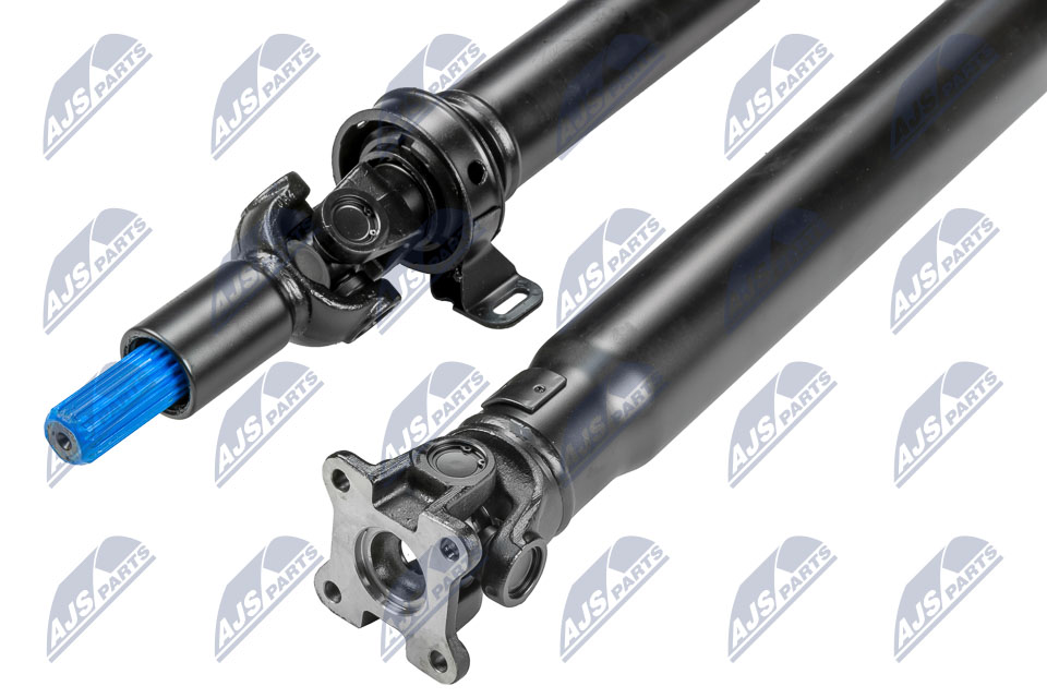 nwn-fr-009_2-wm