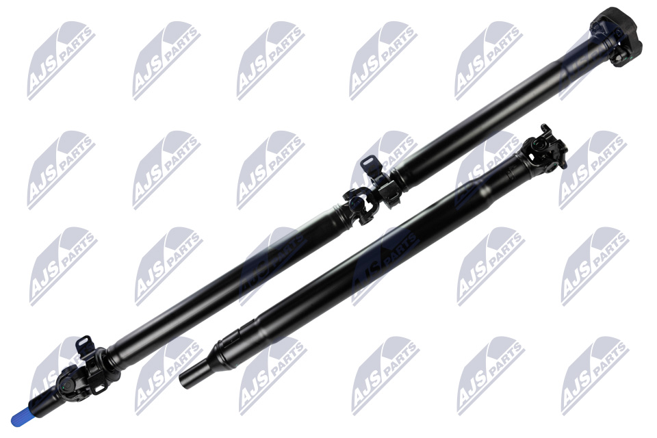 nwn-fr-011_1-wm