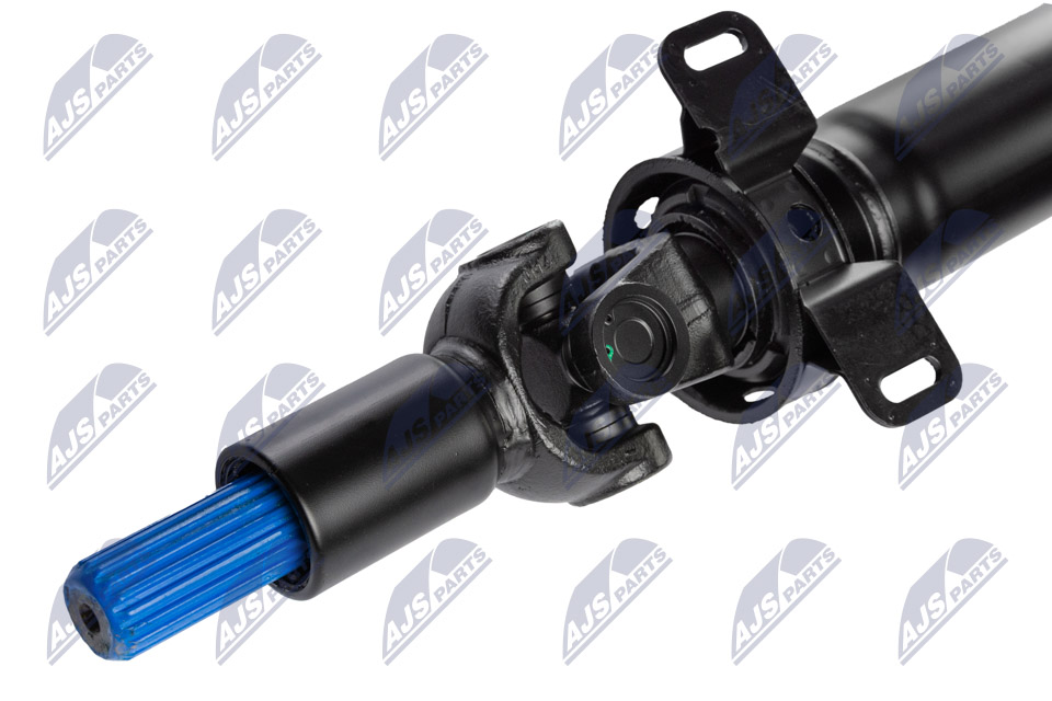 nwn-fr-011_2-wm