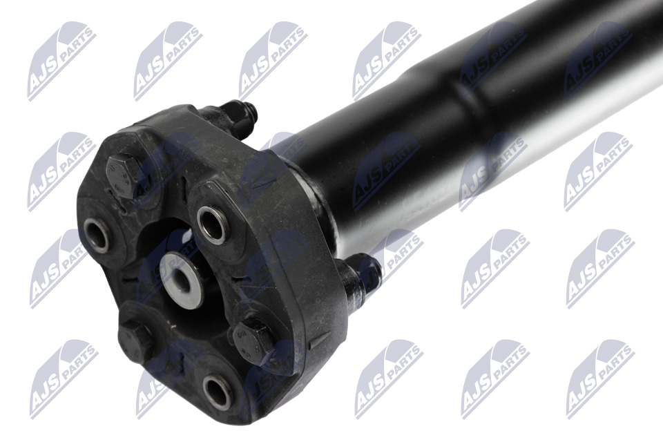 nwn-fr-011_5-wm