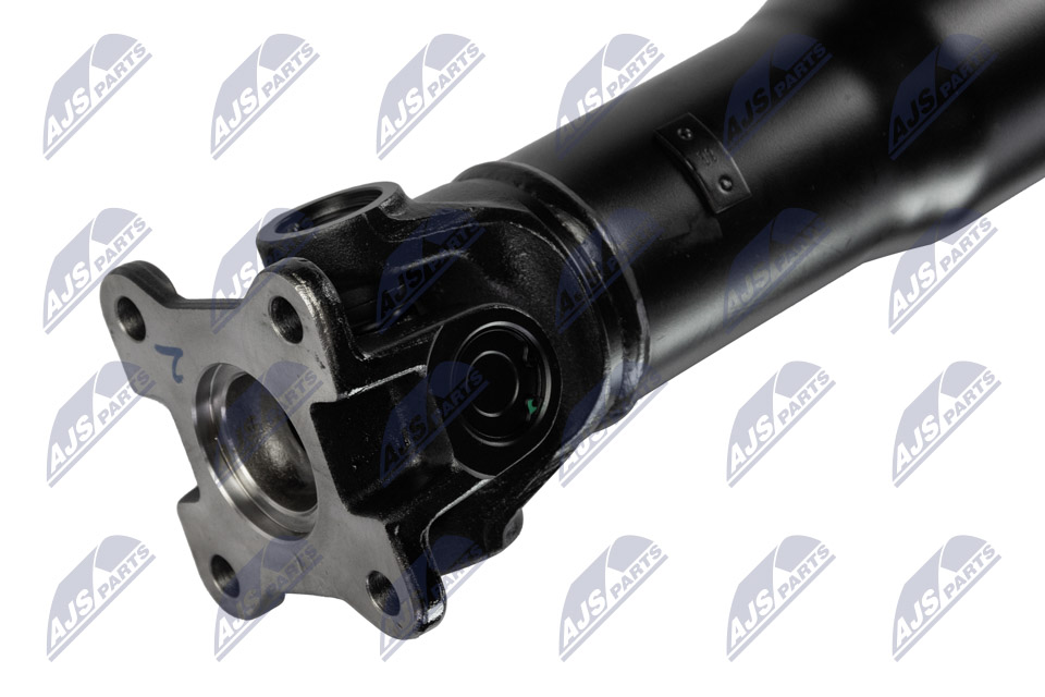nwn-fr-011_6-wm