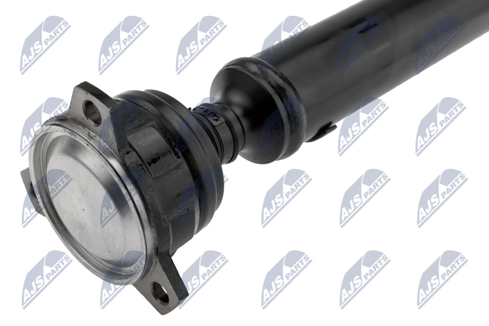 nwn-ms-010_3-wm