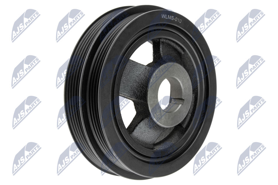 rkp-ms-010_1-wm