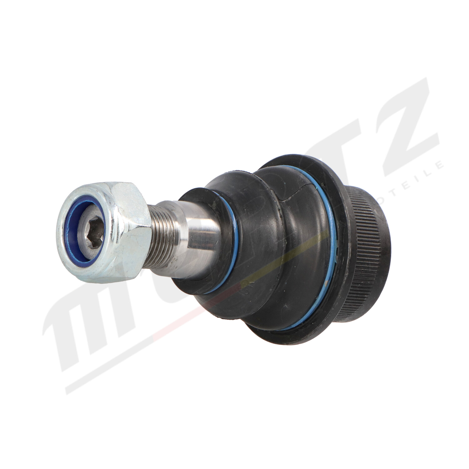 m-s0019_2