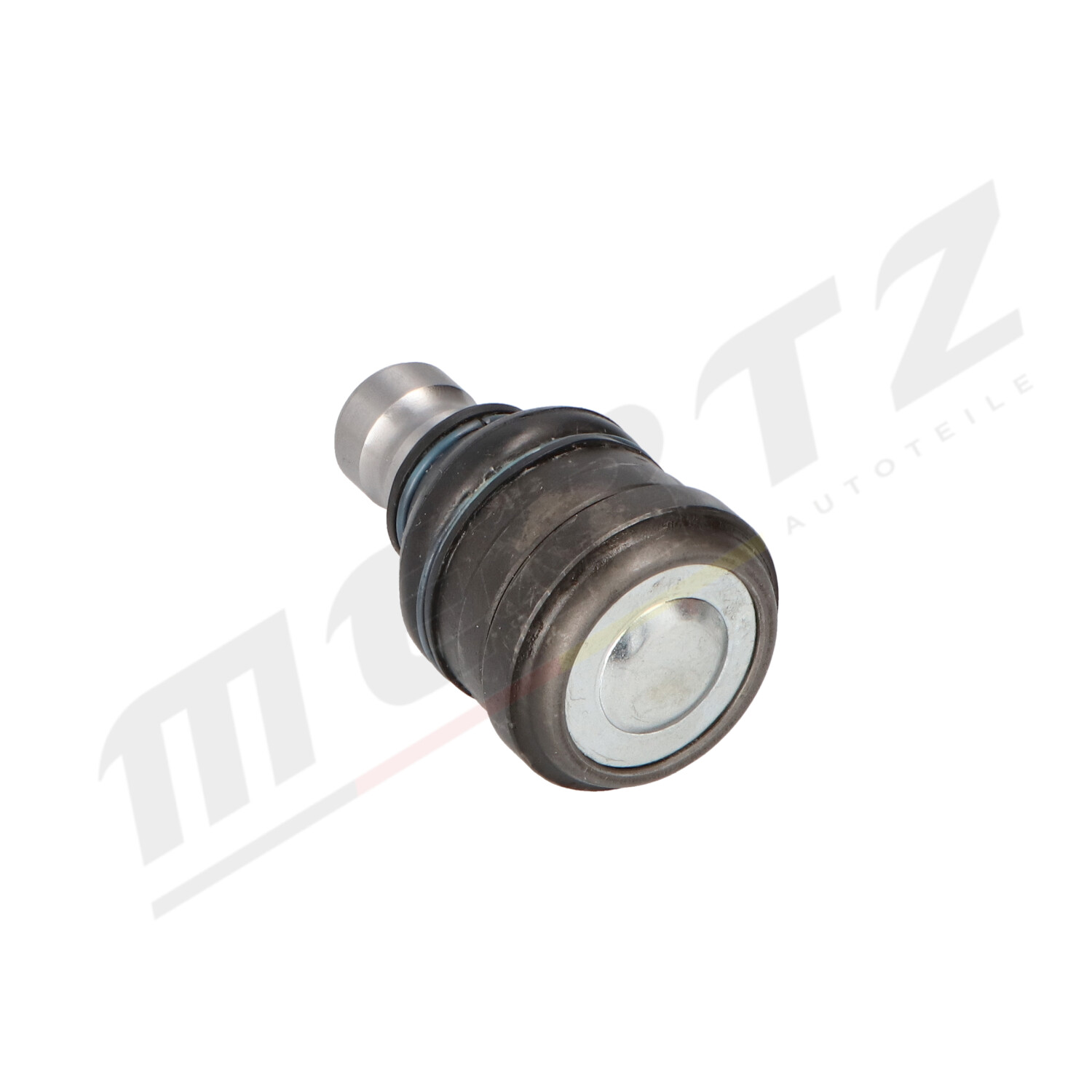 m-s2161_5
