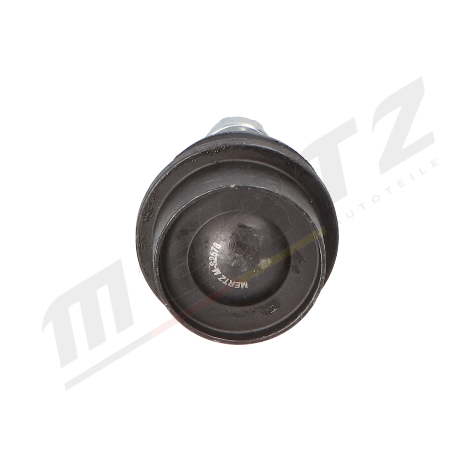 m-s2578_2