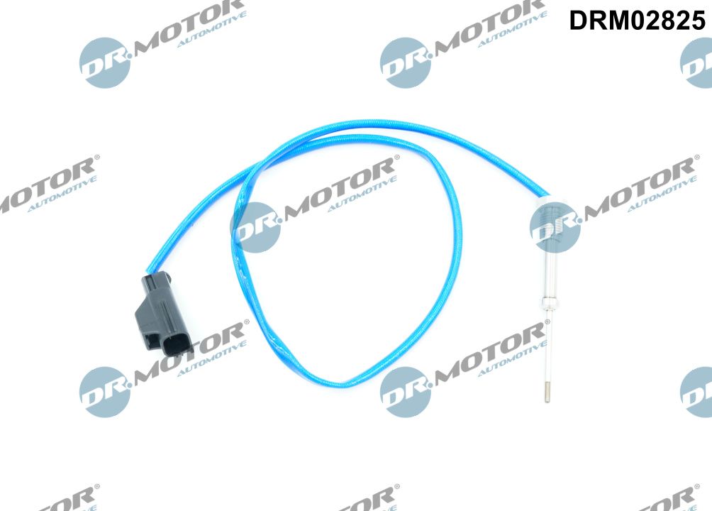 drm_drm02825_wm_01