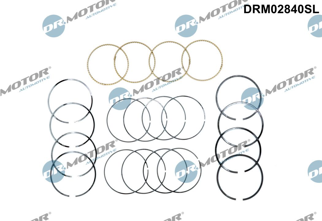 drm_drm02840sl_wm_01