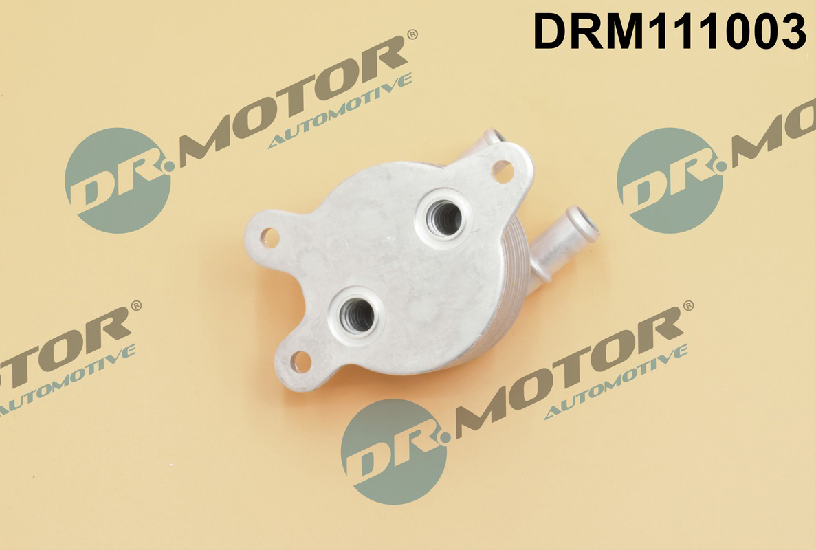 drm_drm111003_wm_02