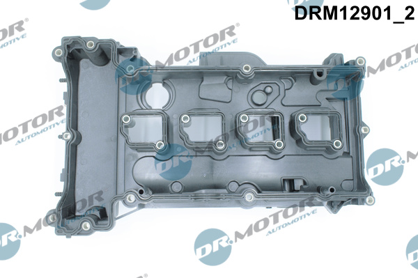 drm_drm12901_wm_02