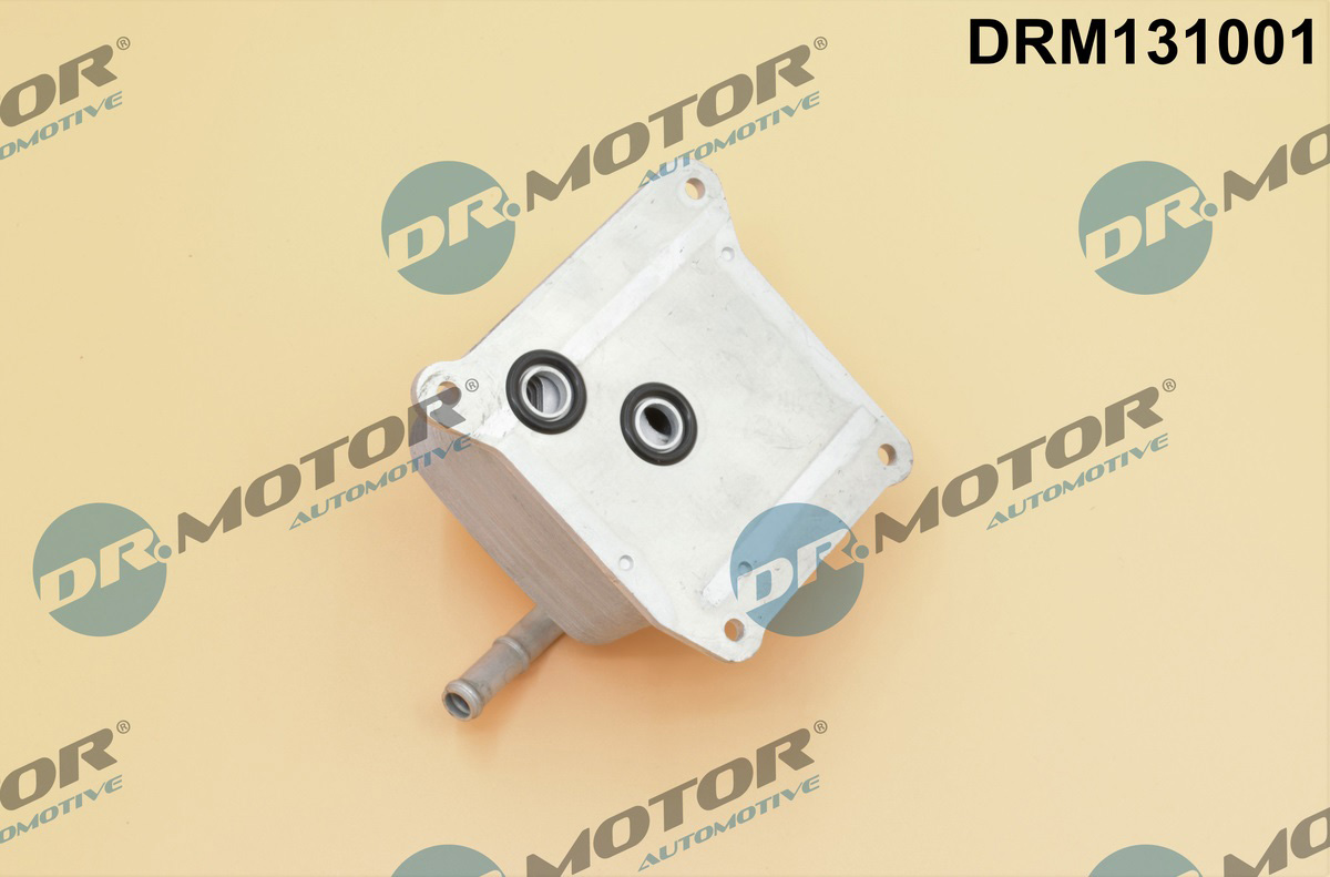 drm_drm131001_wm_02