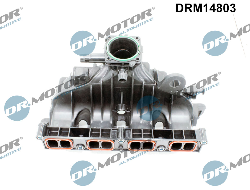 drm_drm14803_wm_02