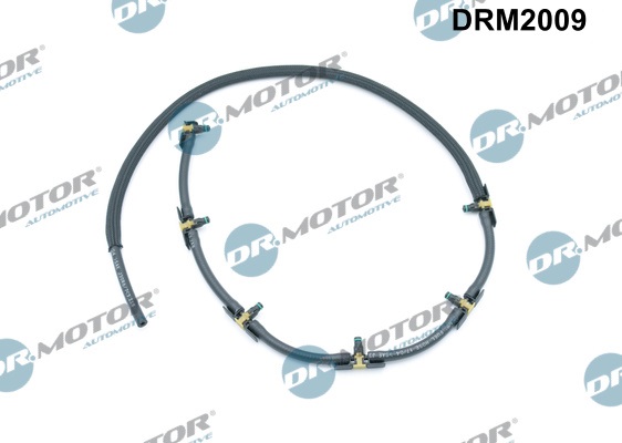 drm_drm2009_wm_01
