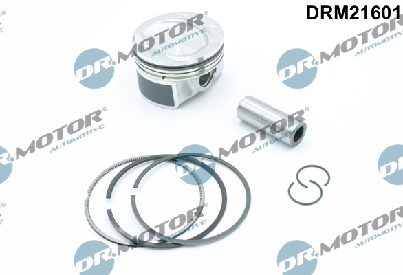 drm_drm21601_wm_01