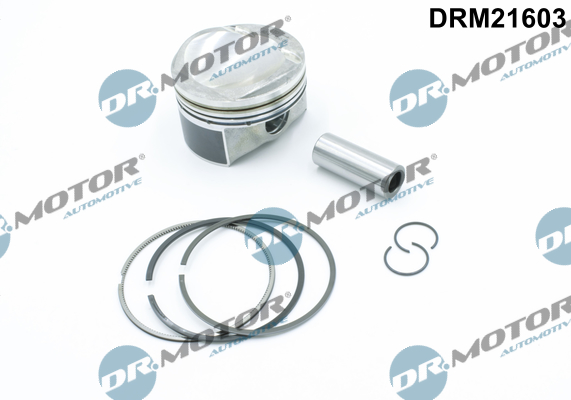 drm_drm21603_wm_01