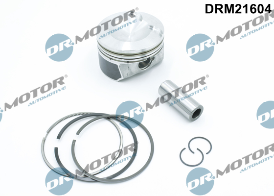 drm_drm21604_wm_01