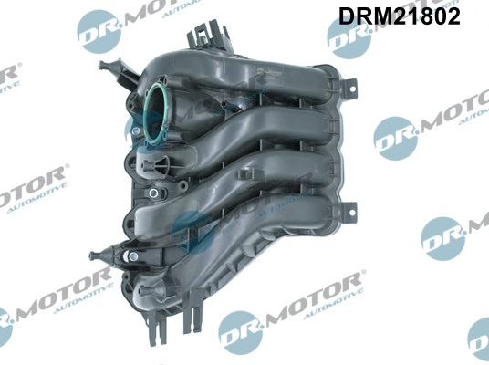 drm_drm21802_wm_01