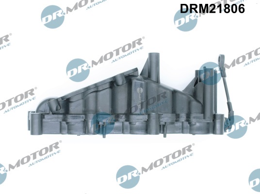 drm_drm21806_wm_01