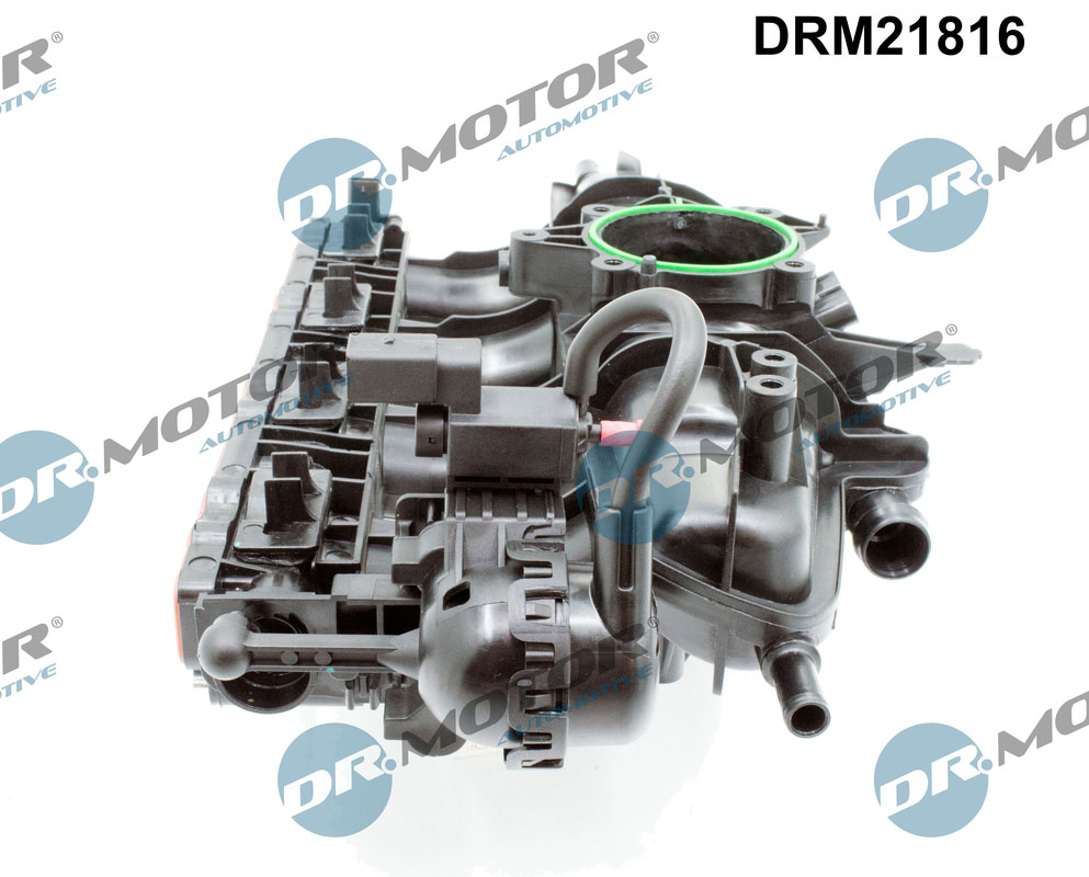 drm_drm21816_wm_02
