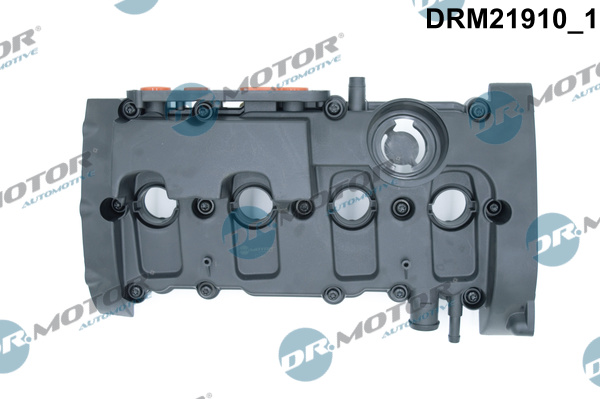 drm_drm21910_wm_01