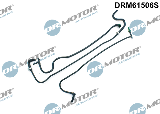 drm_drm61506s_wm_01