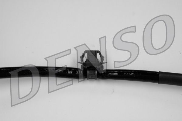 dox-0231_103943