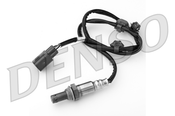 dox-0231_103945