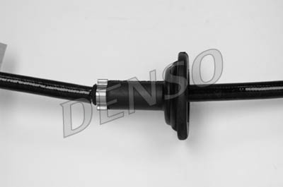 dox-0274_103653