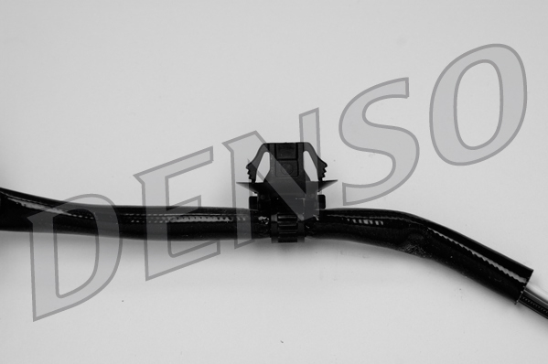 dox-0280_103676