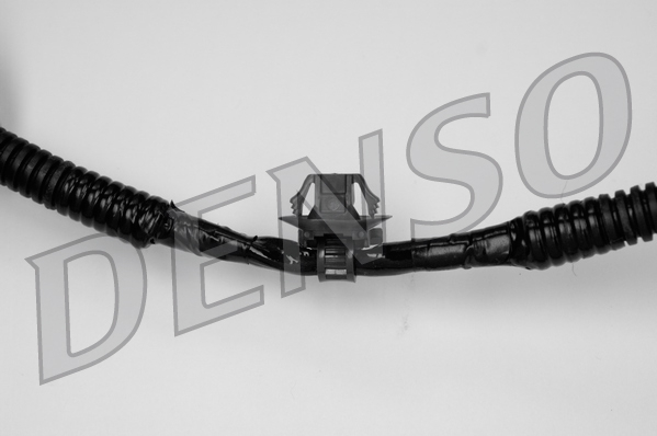 dox-0288_103709