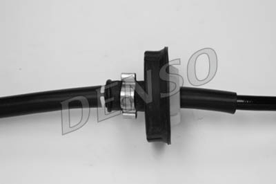 dox-0312_103895