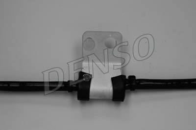 dox-0317_104294