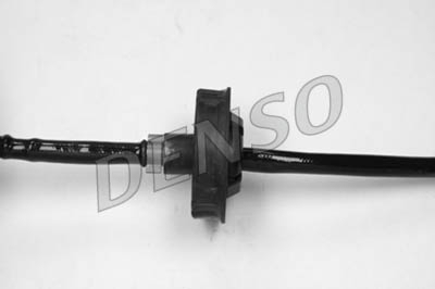 dox-0420_104057