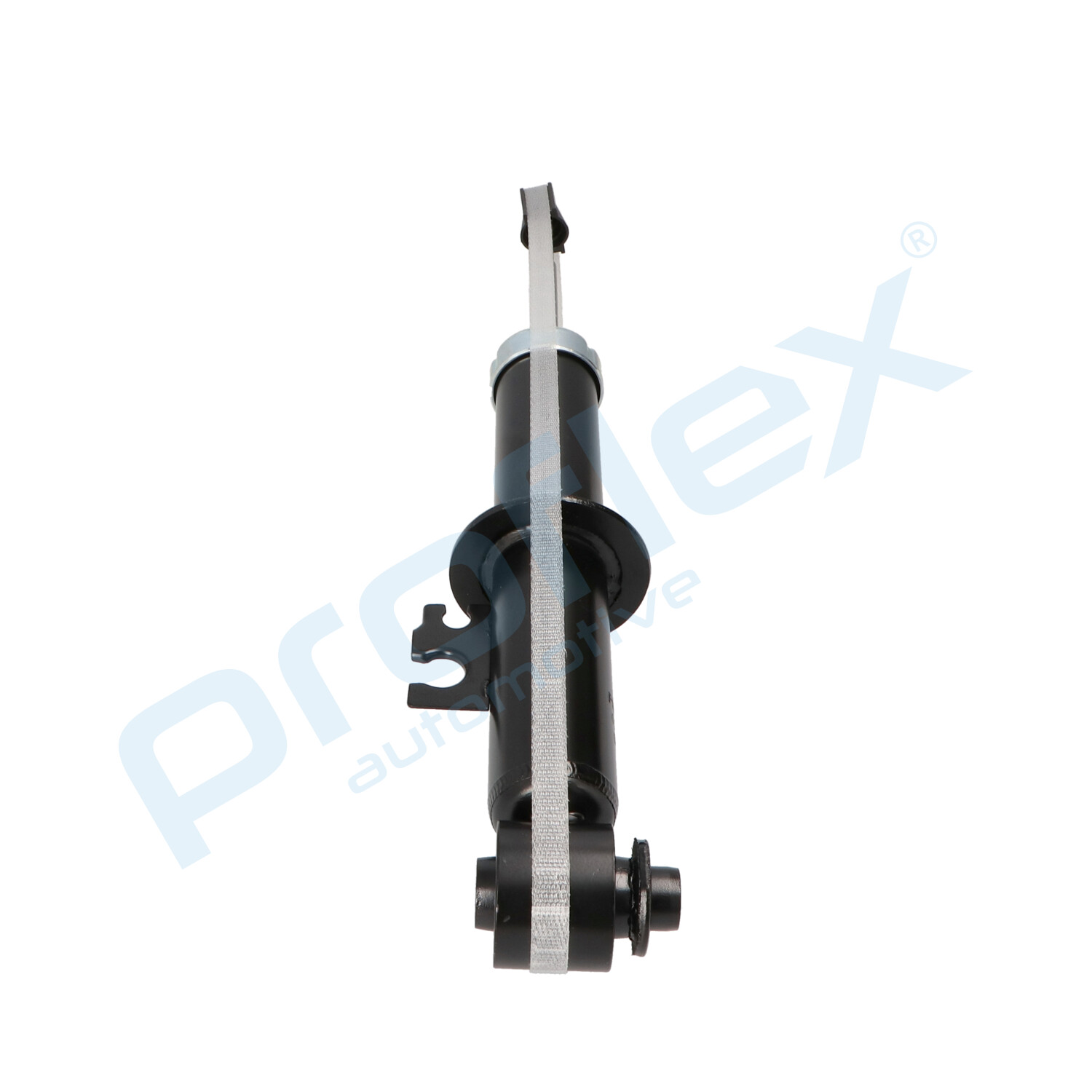 px5-bi648_3