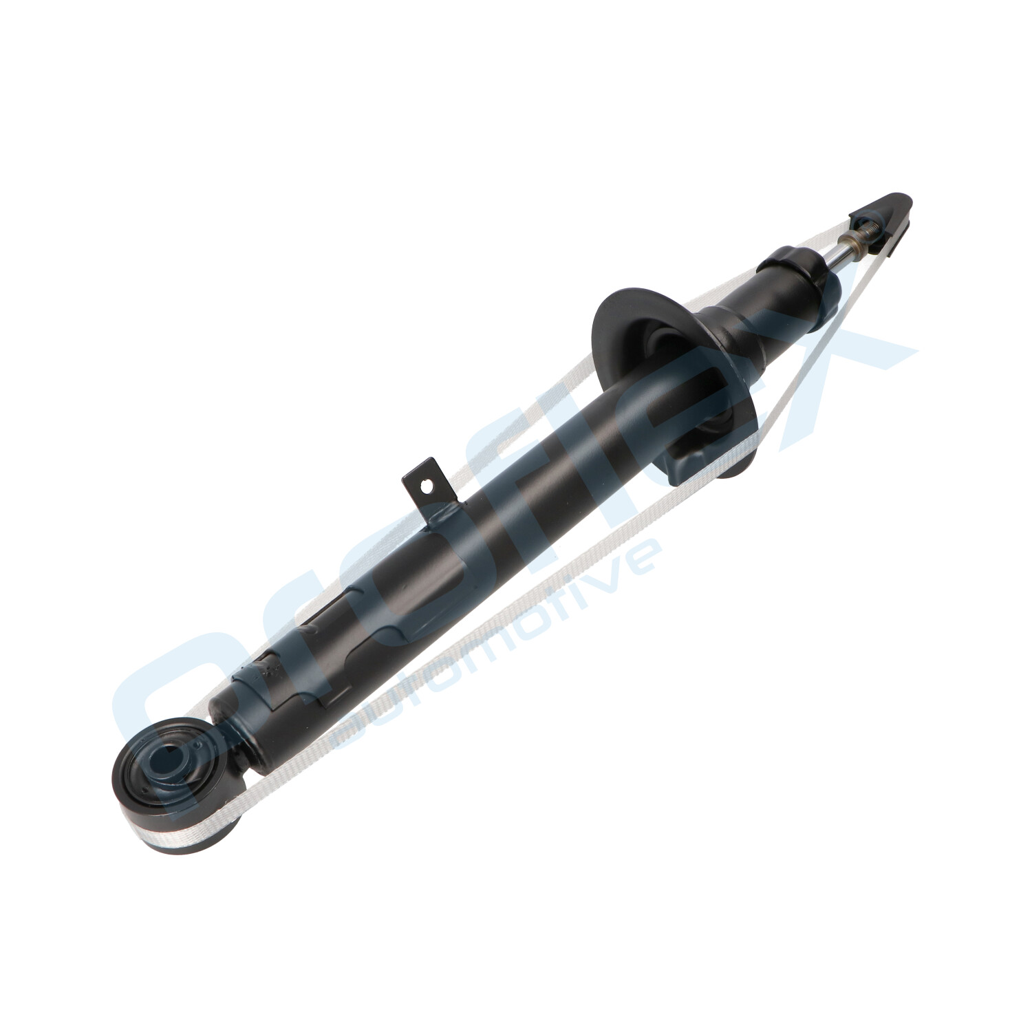 px5-bi822_2