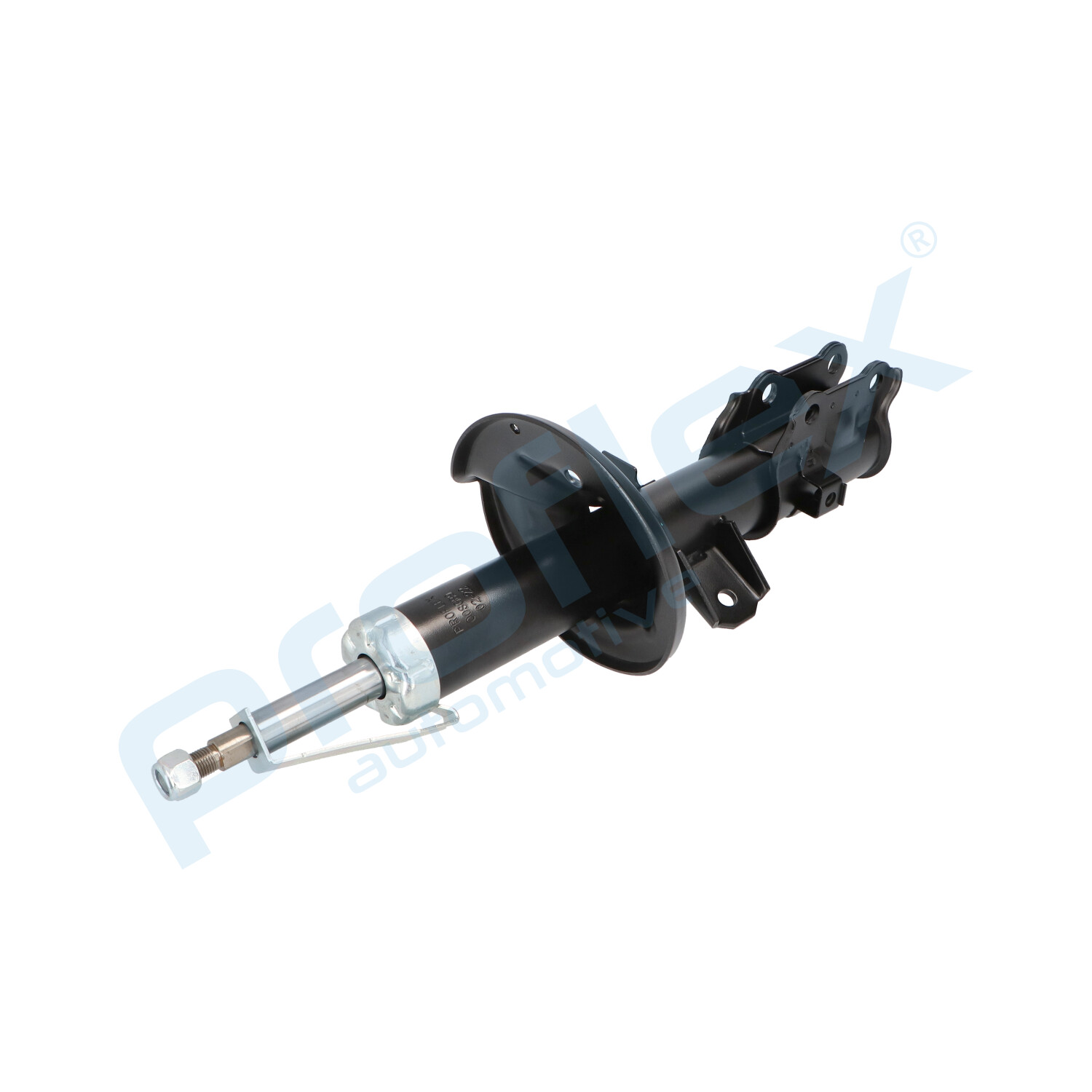 px5-fc025_3