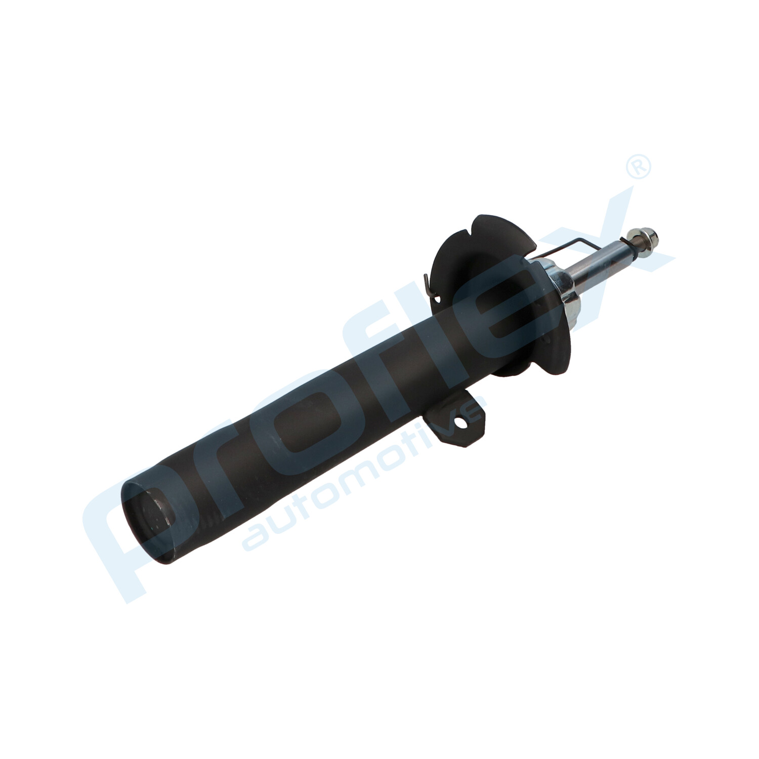 px5-fc169_3