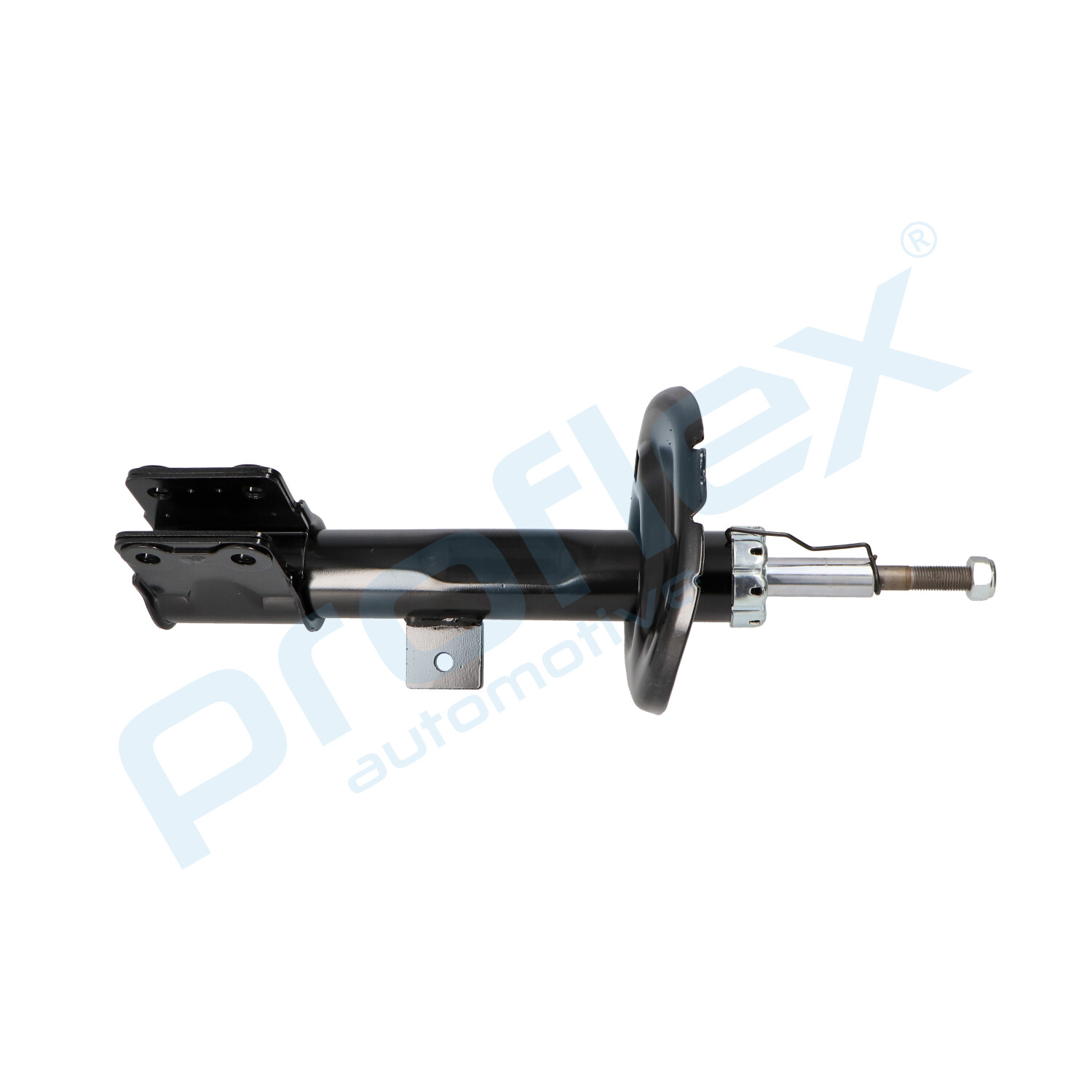 px5-fc338_3